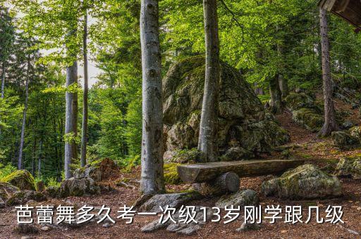 芭蕾舞多久考一次级13岁刚学跟几级