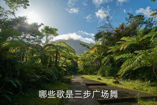 哪些歌是三步广场舞