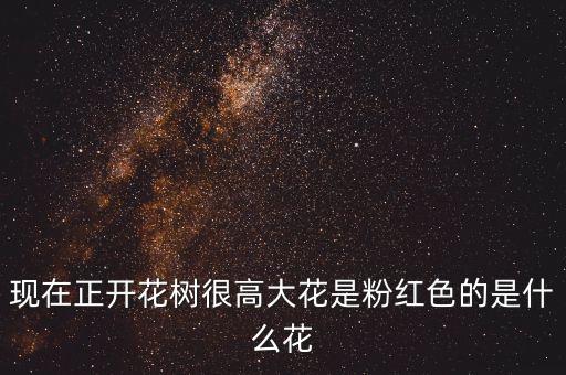 广场舞你牛什么牛山树高花，没有花香没有树高小草是那末不起眼但是他的生命力切很顽强由于它