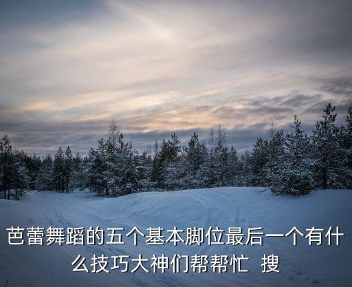 芭蕾舞教程一步一步教，芭蕾舞分解动作