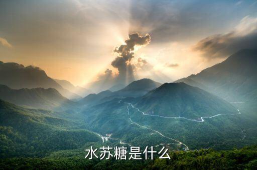 水苏糖是什么