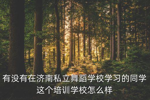 有没有在济南私立舞蹈学校学习的同学这个培训学校怎么样