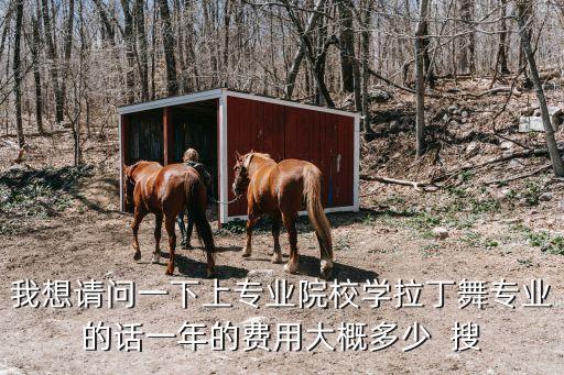 我想请问一下上专业院校学拉丁舞专业的话一年的费用大概多少  搜