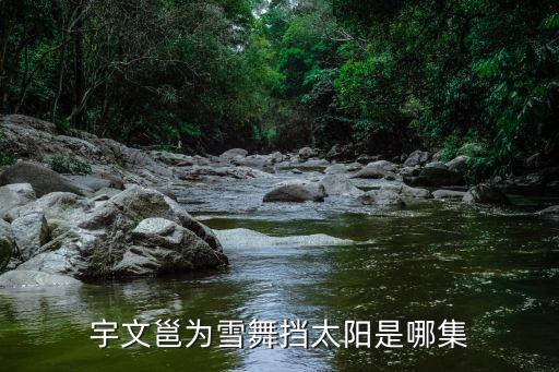 宇文邕为雪舞挡太阳是哪集
