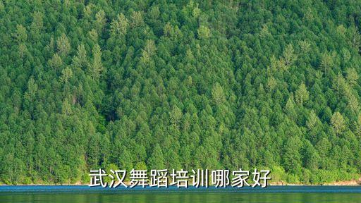 武汉舞蹈培训哪家好