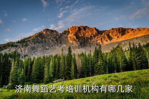 济南舞蹈艺考培训机构有哪几家