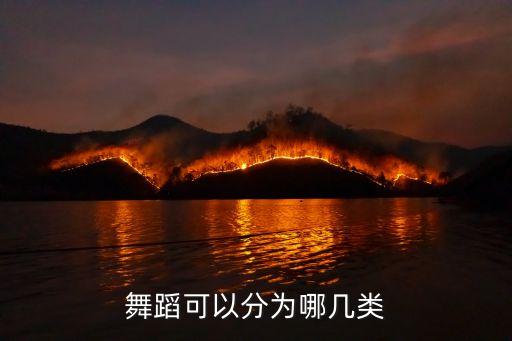 古典舞入门舞蹈有哪些种类，有哪些比较简单好学的古典舞注意是中国古典舞还得是女子
