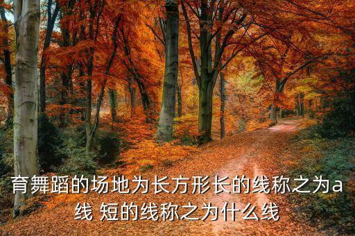 育舞蹈的场地为长方形长的线称之为a线 短的线称之为什么线