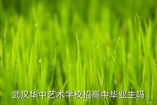 武汉华中艺术学校，武汉有那些艺术高中
