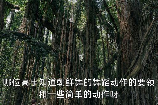 哪位高手知道朝鲜舞的舞蹈动作的要领和一些简单的动作呀