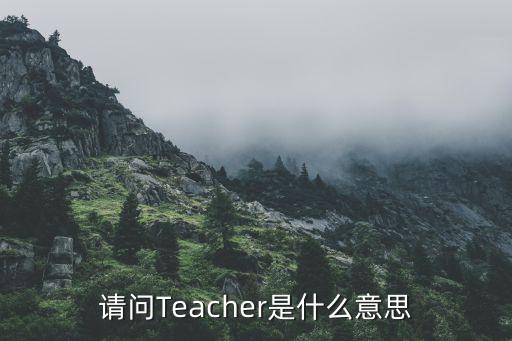 舞蹈注册教师什么意思，请问Teacher是什么意思