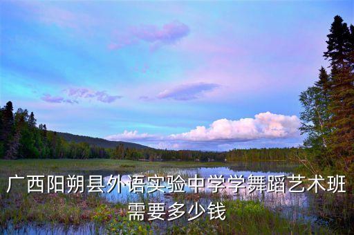 广西阳朔县外语实验中学学舞蹈艺术班需要多少钱