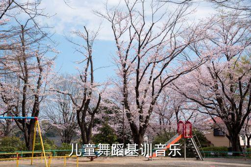 少儿舞蹈绽放响扇，儿童舞蹈基训音乐