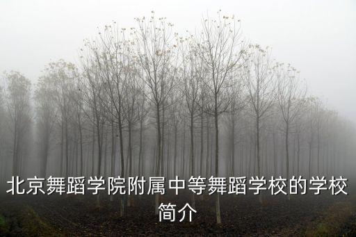 北京舞蹈学院附属中等舞蹈学校的学校简介