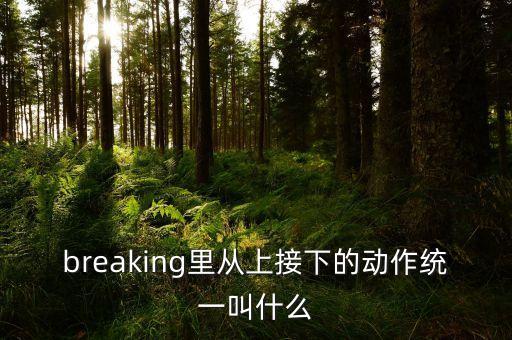 breaking里从上接下的动作统一叫什么