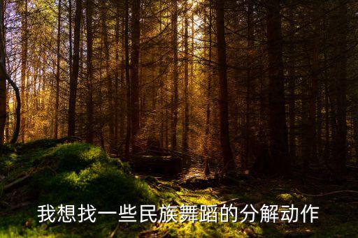 吉祥颂舞蹈视频分解，我想找一些民族舞蹈的分解动作