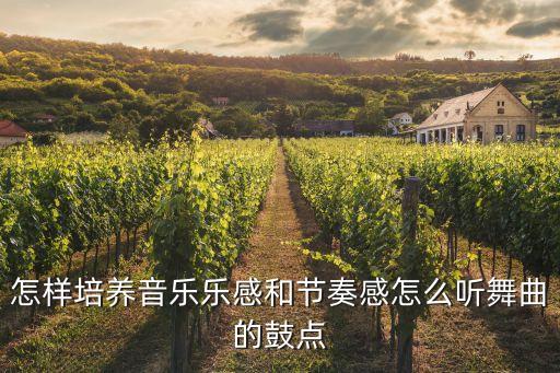怎样培养音乐乐感和节奏感怎么听舞曲的鼓点