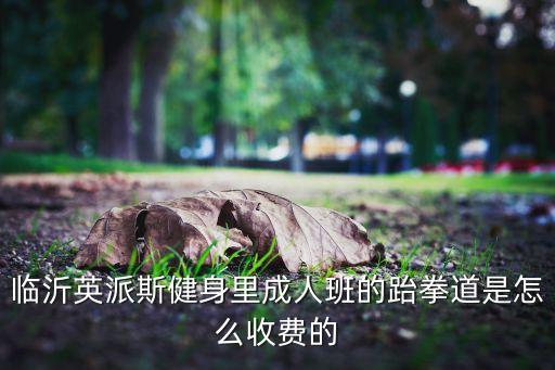 临沂英派斯健身里成人班的跆拳道是怎么收费的