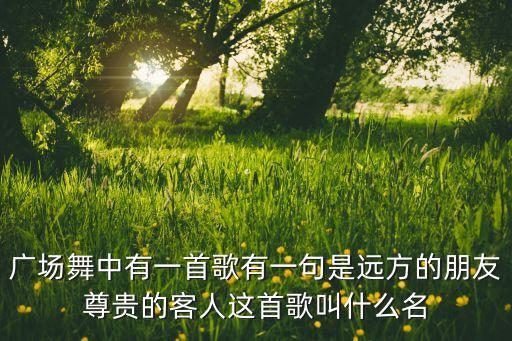广场舞中有一首歌有一句是远方的朋友尊贵的客人这首歌叫什么名