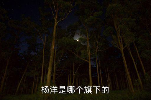 杨洋是哪个旗下的