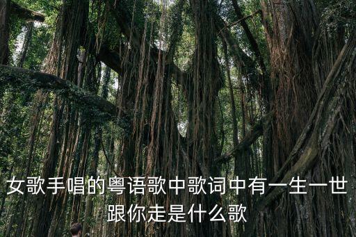 天边还有多少浪子歌曲，天边 张韶涵歌词