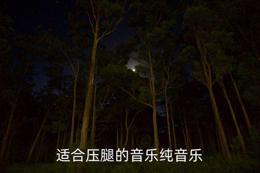 哪个音乐适合踢腿，适合压腿的音乐纯音乐
