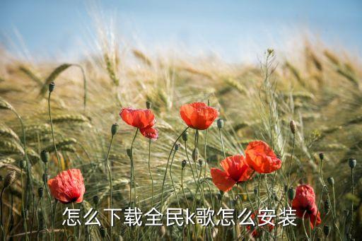 怎么下载全民k歌怎么安装
