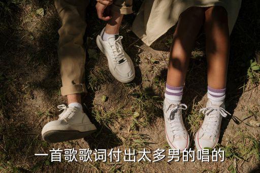 一首歌歌词付出太多男的唱的