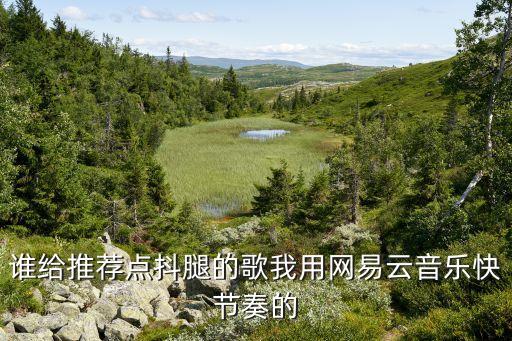 谁给推荐点抖腿的歌我用网易云音乐快节奏的