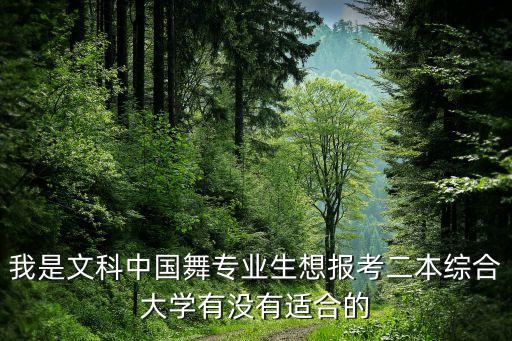 艺术类舞蹈二本大学，河北省的舞蹈专业师范类的二本学校有哪些