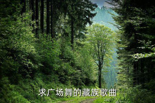 求广场舞的藏族歌曲