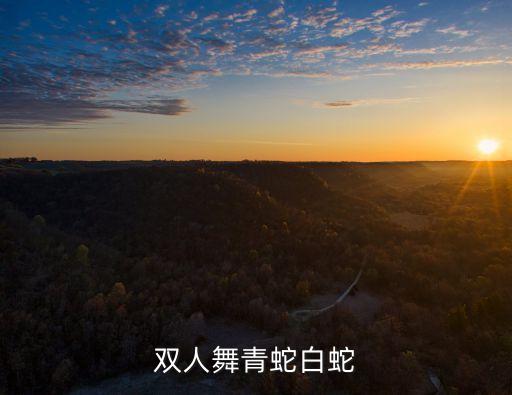 双人舞青蛇白蛇