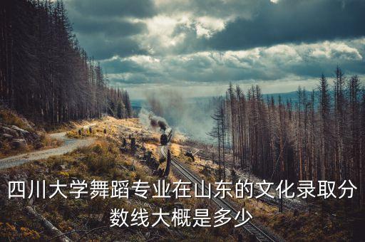 四川大学舞蹈专业在山东的文化录取分数线大概是多少