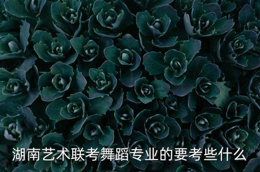湖南艺术联考舞蹈专业的要考些什么