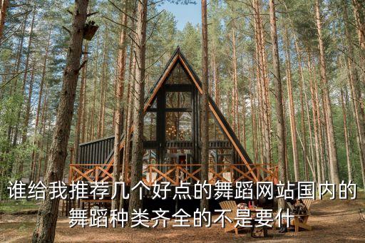 谁给我推荐几个好点的舞蹈网站国内的舞蹈种类齐全的不是要什