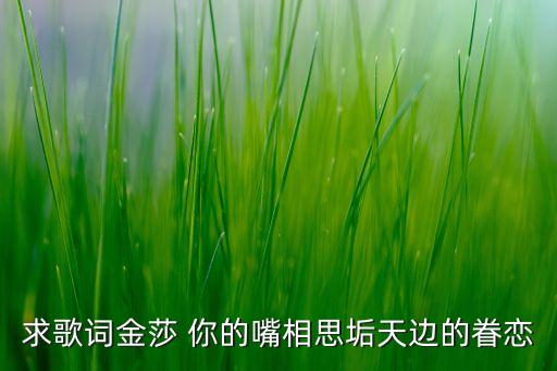 求歌词金莎 你的嘴相思垢天边的眷恋