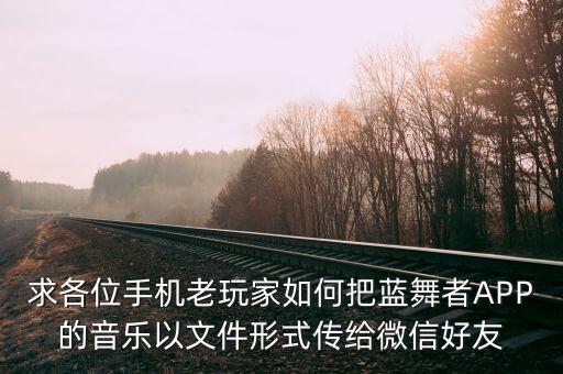 求各位手机老玩家如何把蓝舞者APP的音乐以文件形式传给微信好友