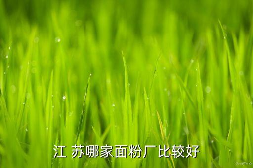 江 苏哪家面粉厂比较好