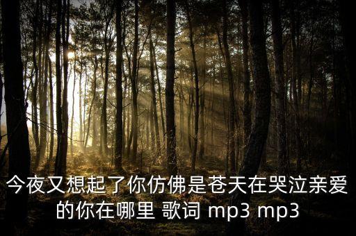 杨丽萍亲爱的你在哪里舞曲下载，那里有电视剧最熟悉的陌生人的插曲亲爱的你在哪里的下载地址