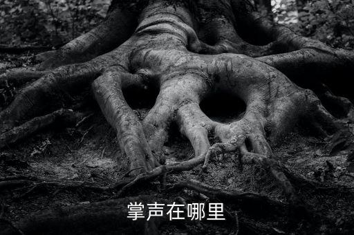 掌声在哪里