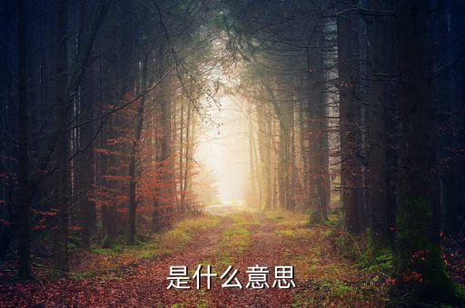 拉丁舞Q是什么意思，Rafael是什么意思啊急啊请各位帮忙一下