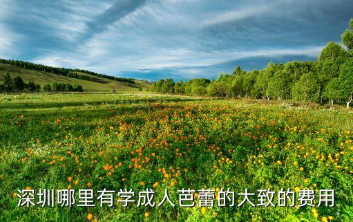源芭蕾老师怎么样，新乡哪里芭蕾教得好