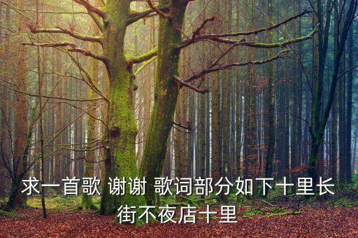 求一首歌 谢谢 歌词部分如下十里长街不夜店十里