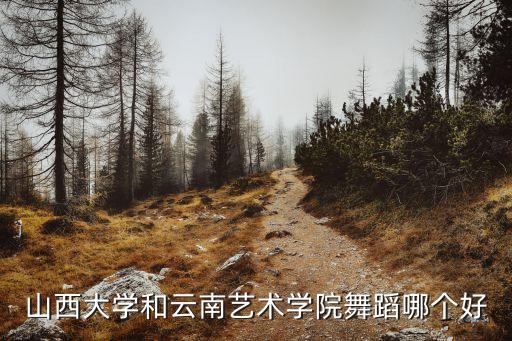 山西大学和云南艺术学院舞蹈哪个好