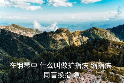 在钢琴中 什么叫做扩指法 缩指法 同音换指 急