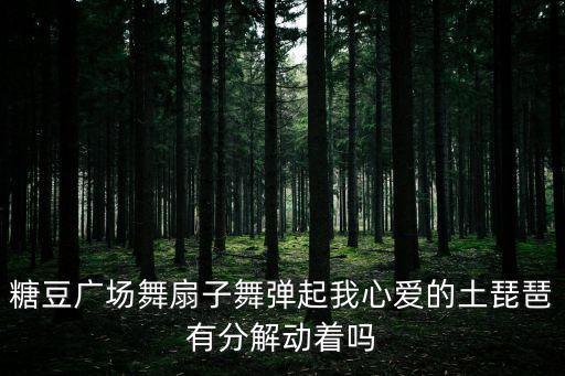 糖豆广场舞扇子舞弹起我心爱的土琵琶有分解动着吗