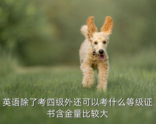 英语除了考四级外还可以考什么等级证书含金量比较大