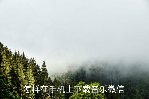 微信摇一摇的歌曲在哪里下载，摇一摇搜歌怎么保存到手机
