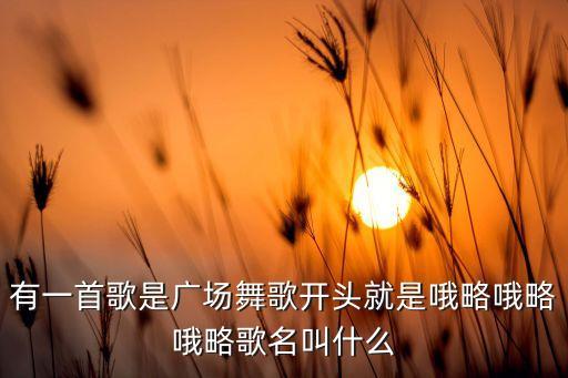 有一首歌是广场舞歌开头就是哦略哦略哦略歌名叫什么