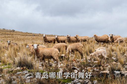 青岛哪里学街舞好